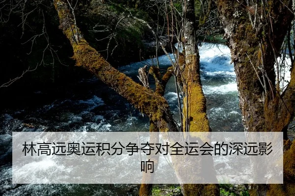 林高远奥运积分争夺对全运会的深远影响